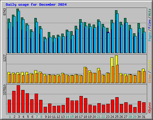Daily usage for December 2024