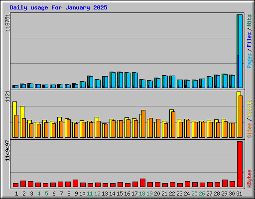 Daily usage for January 2025