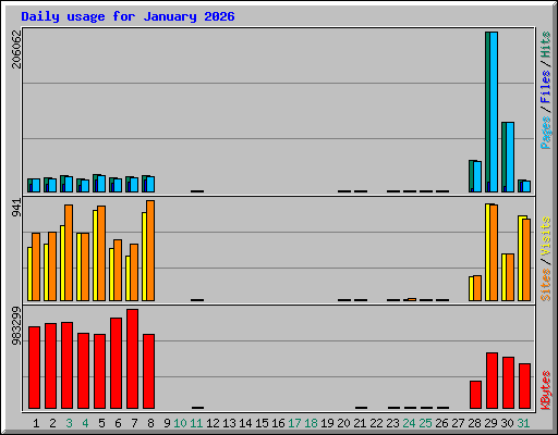 Daily usage for January 2026