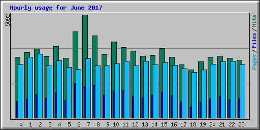 Hourly usage for June 2017