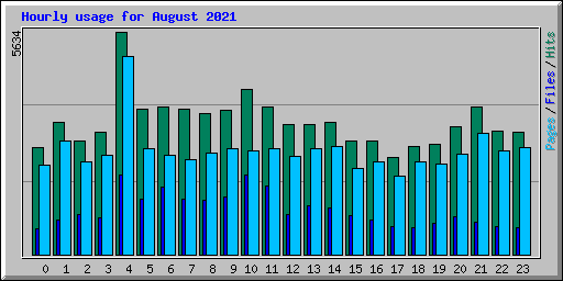 Hourly usage for August 2021