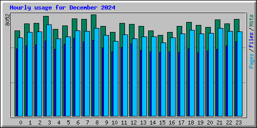 Hourly usage for December 2024