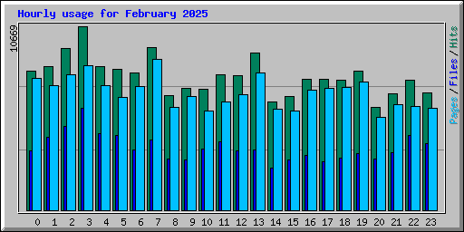 Hourly usage for February 2025