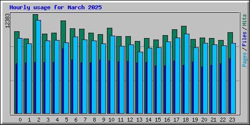 Hourly usage for March 2025