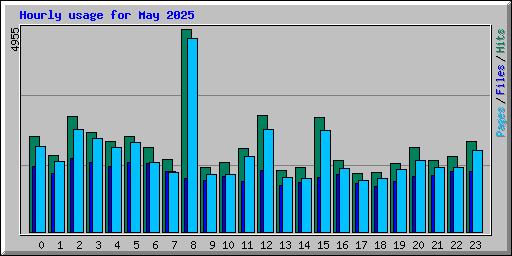 Hourly usage for May 2025