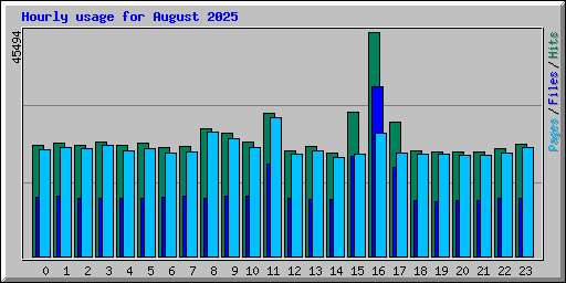 Hourly usage for August 2025