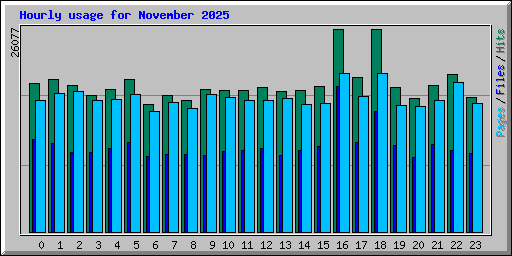 Hourly usage for November 2025