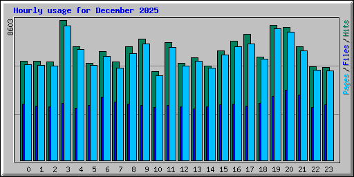 Hourly usage for December 2025