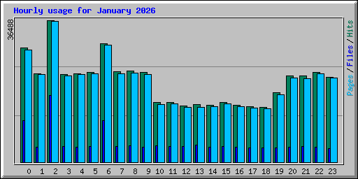 Hourly usage for January 2026