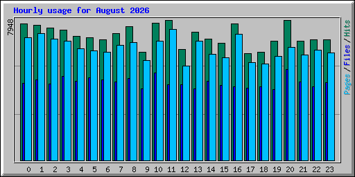 Hourly usage for August 2026